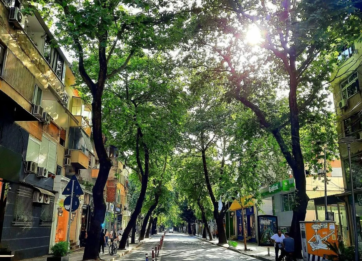 Cozy Apartment Great Location Tirana